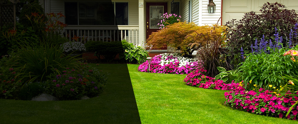Dunedin Landscapers