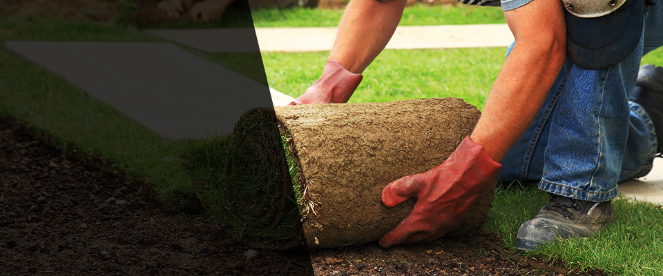 Dunedin Landscapers